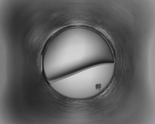 X0000093491175200710121007
