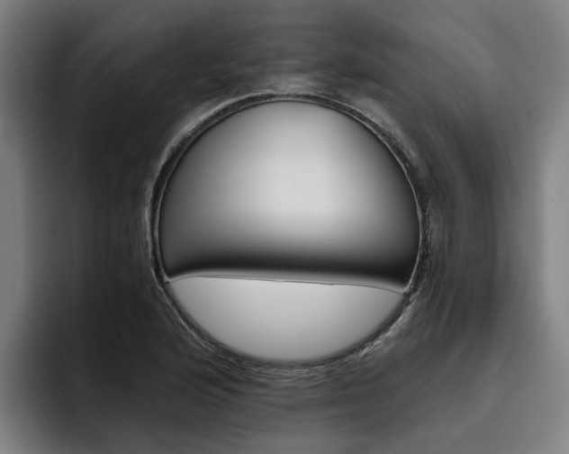 X0000093491176200710121007