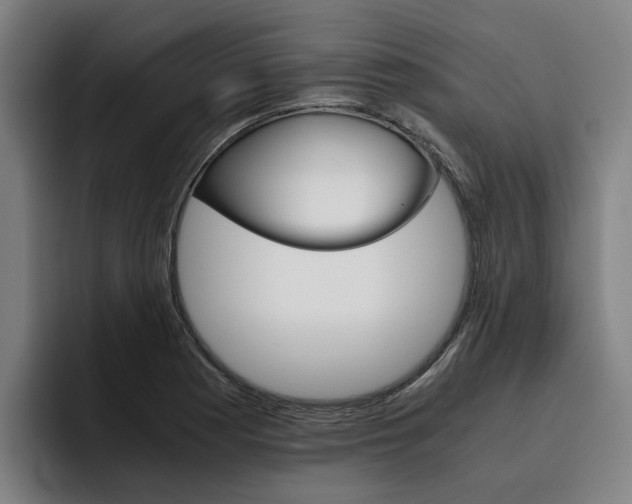 X0000093491177200710121007