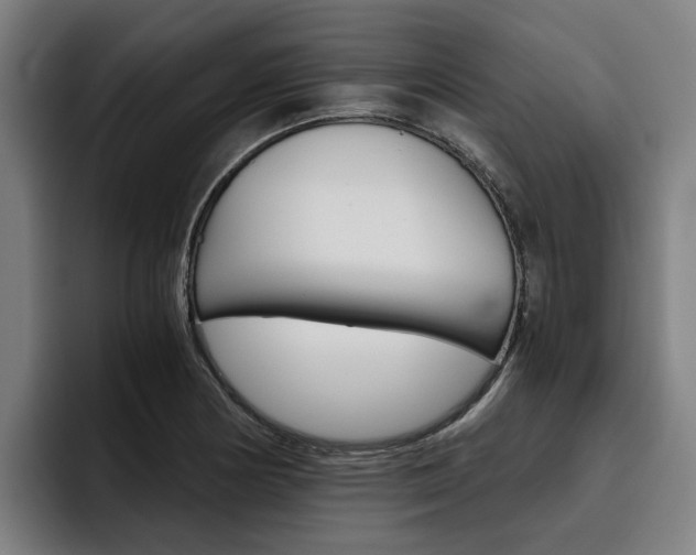 X0000093491178200710121007