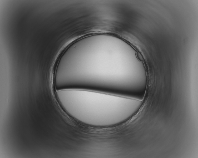 X0000093491179200710121007