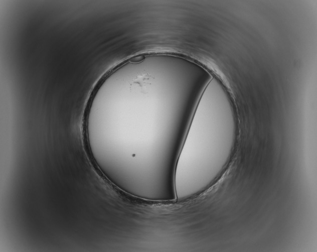 X0000093491181200710121007