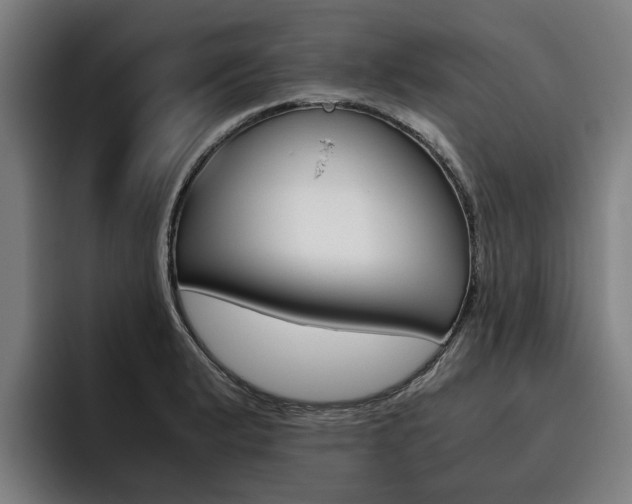 X0000093491183200710121007