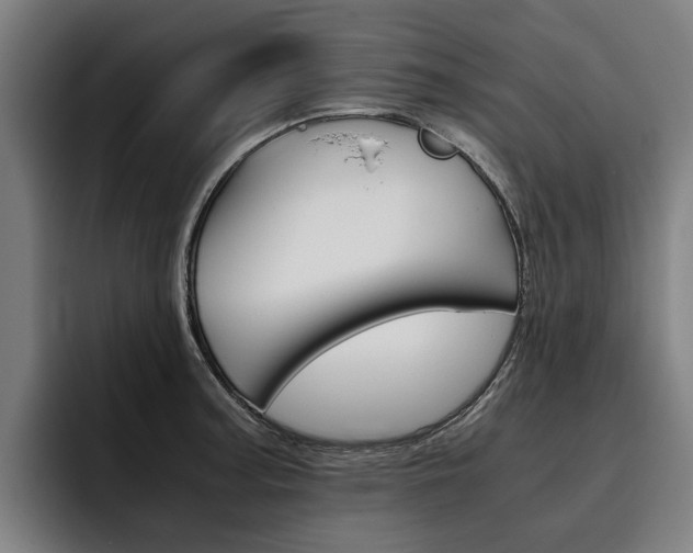 X0000093491187200710121007