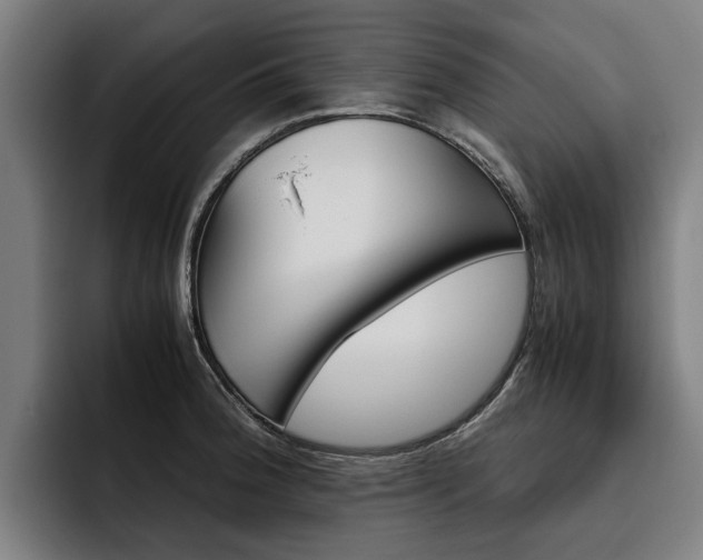 X0000093491188200710121007