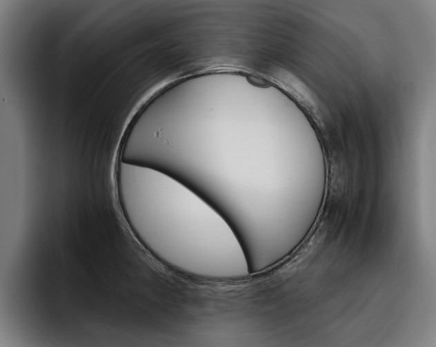 X0000093491190200710121007