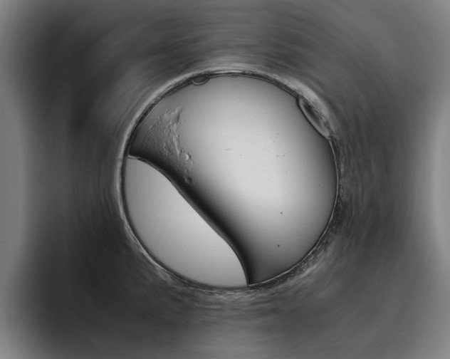 X0000093491191200710121007