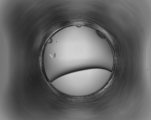 X0000093491194200710121007