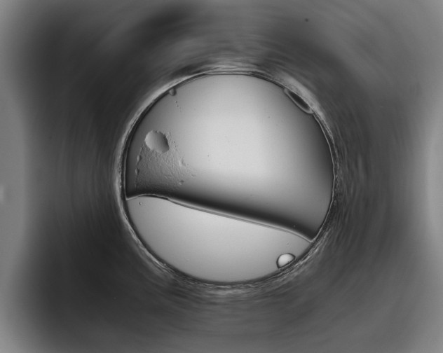 X0000093491195200710121007