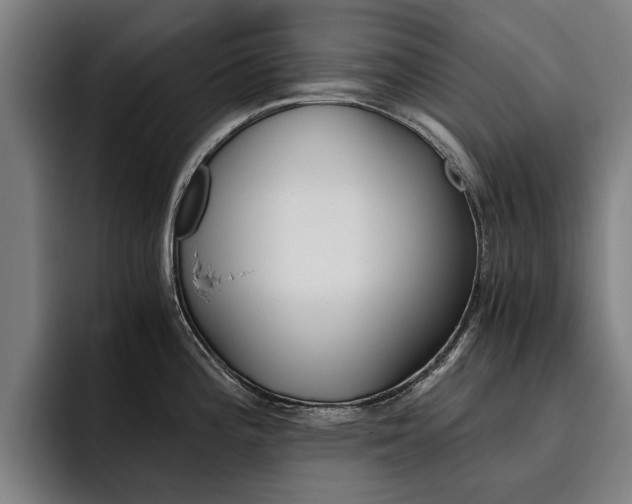 X0000093491196200710121007