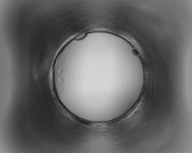 X0000093491198200710121007
