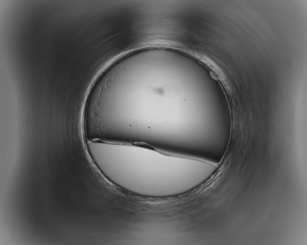 X0000093491199200710121007