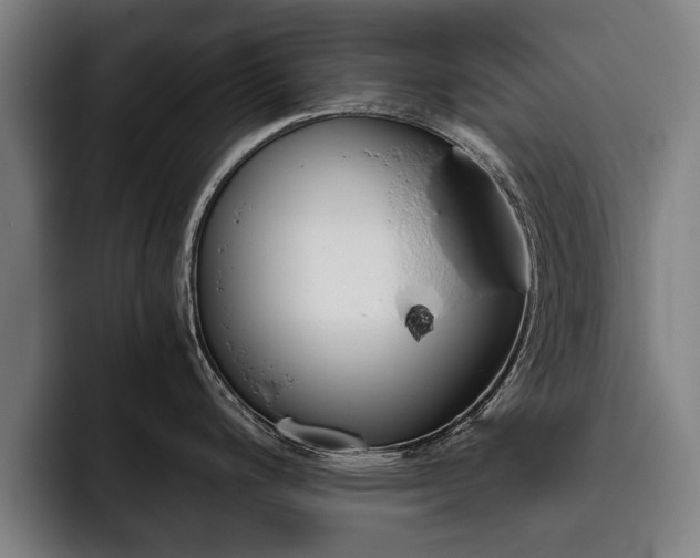 X0000093491200200710121007
