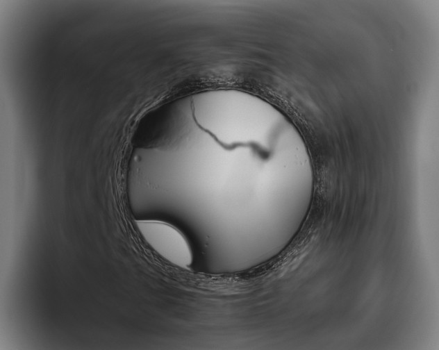 X0000093491201200710121006
