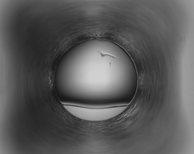 X0000093491202200710121006