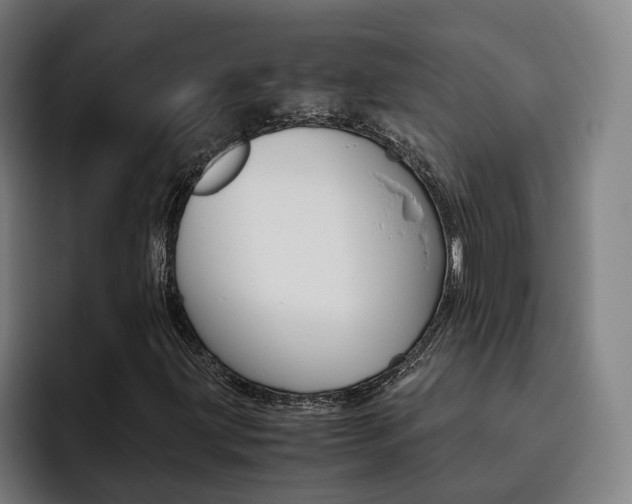X0000093491203200710121006