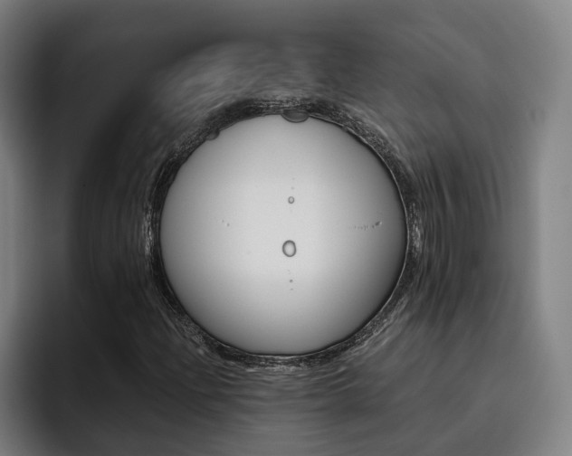 X0000093491204200710121006