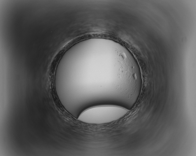 X0000093491208200710121006