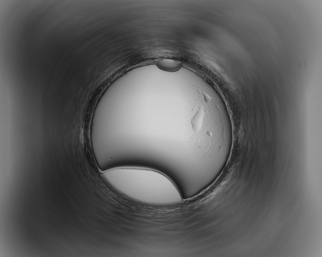 X0000093491209200710121006