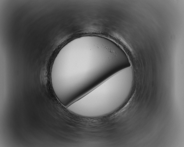 X0000093491213200710121006
