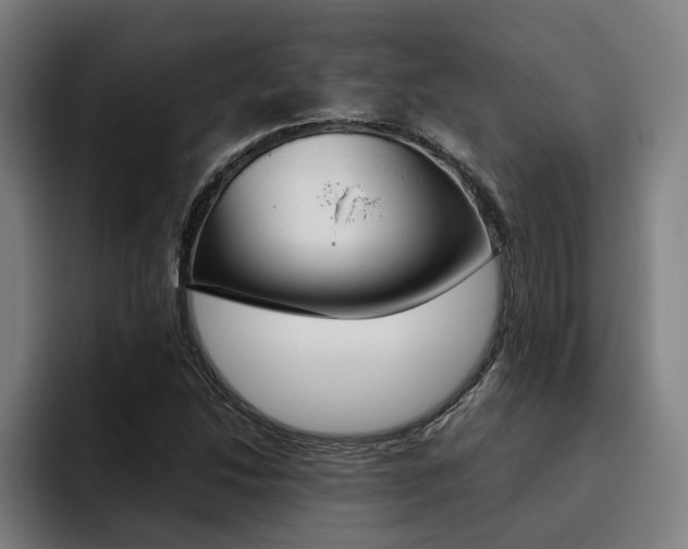 X0000093491214200710121006