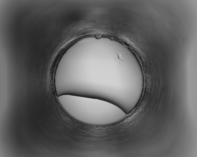 X0000093491215200710121007