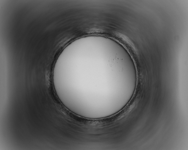 X0000093491217200710121007