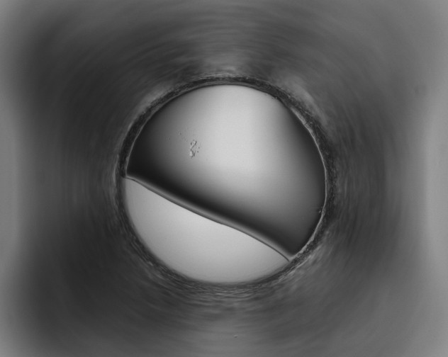 X0000093491218200710121007