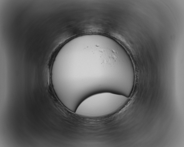 X0000093491219200710121007