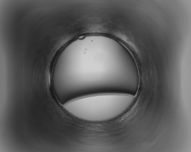 X0000093491221200710121007
