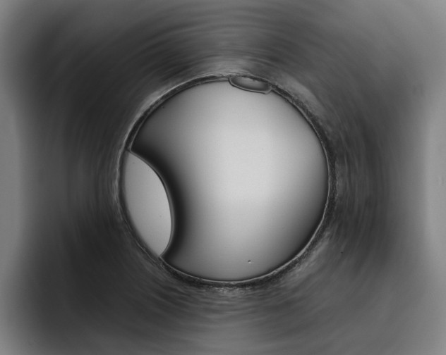 X0000093491226200710121007