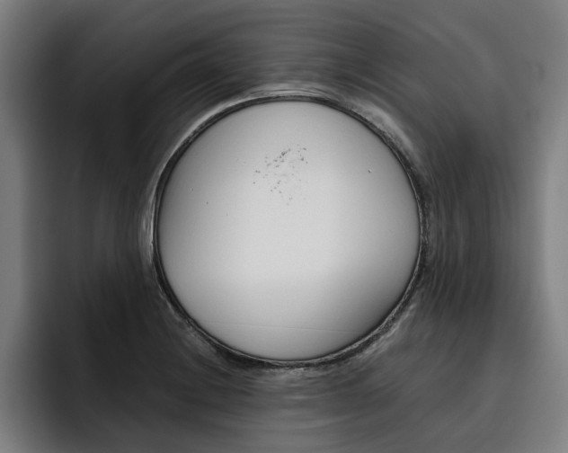 X0000093491228200710121007