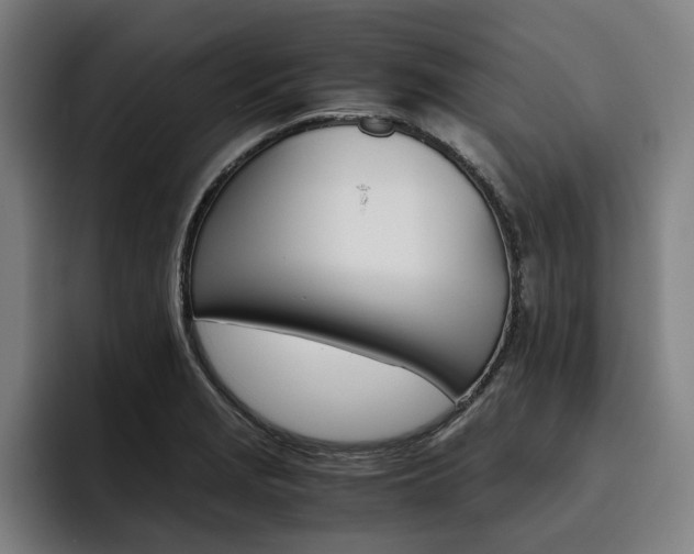 X0000093491229200710121007