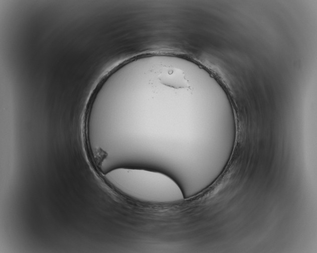 X0000093491231200710121007