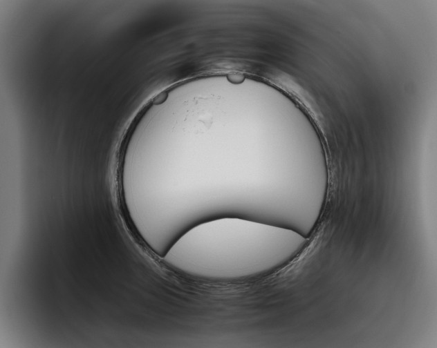 X0000093491235200710121007