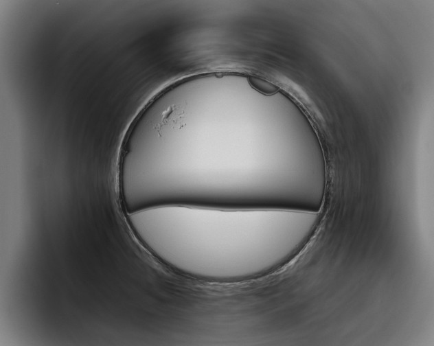 X0000093491236200710121007