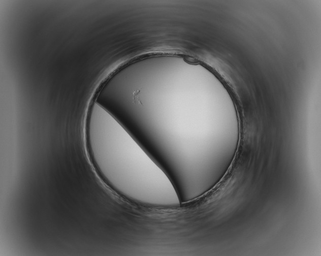 X0000093491237200710121007