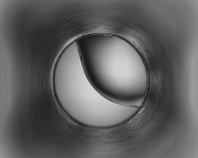 X0000093491238200710121007