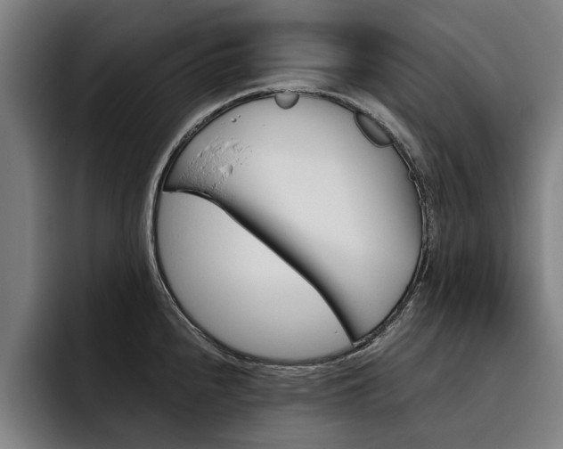 X0000093491240200710121007