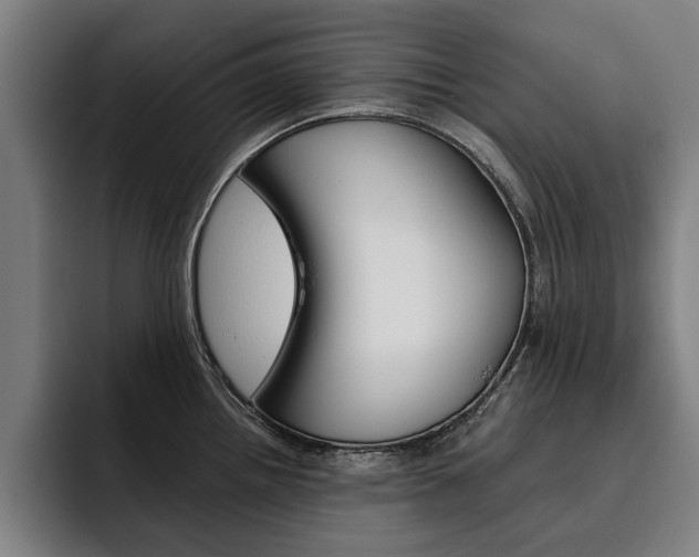 X0000093491242200710121007