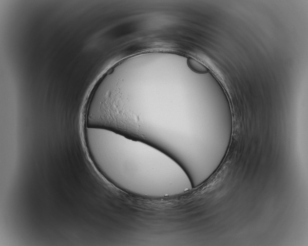 X0000093491243200710121007