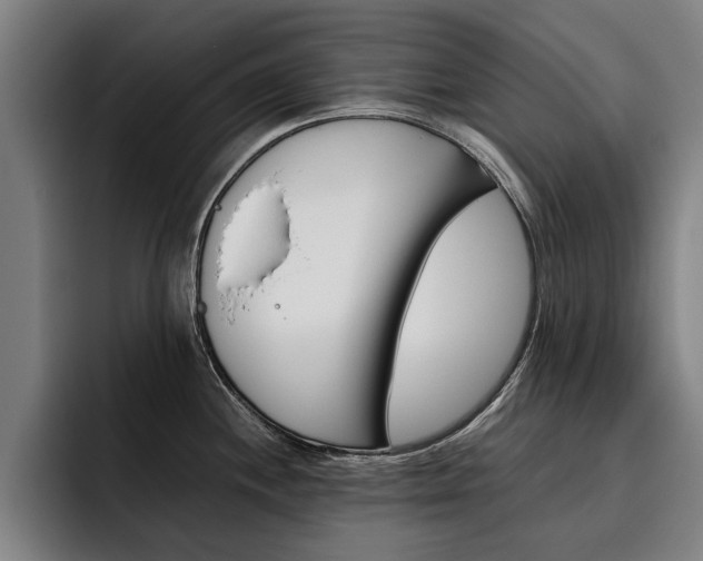 X0000093491244200710121007