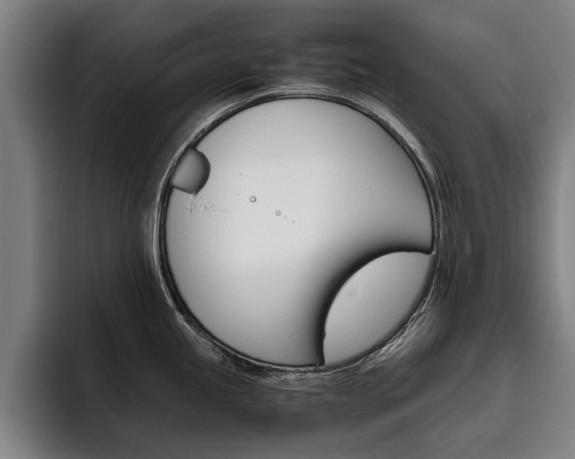 X0000093491245200710121007