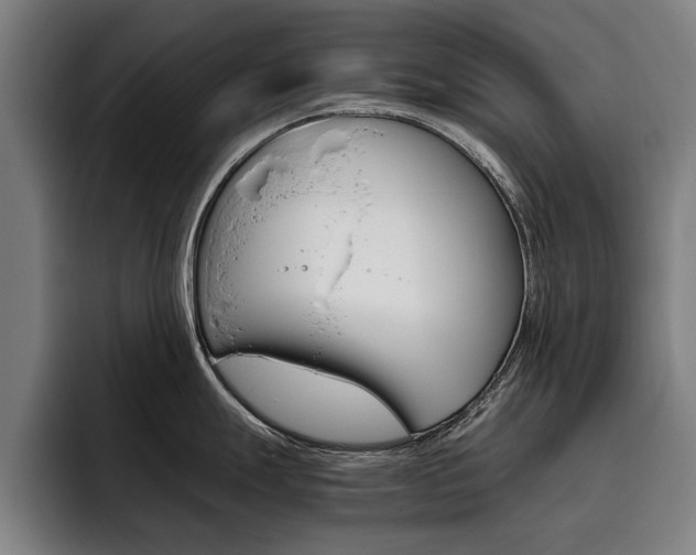 X0000093491247200710121007