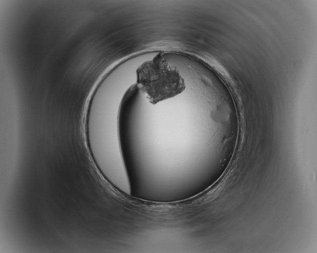 X0000093491248200710121007