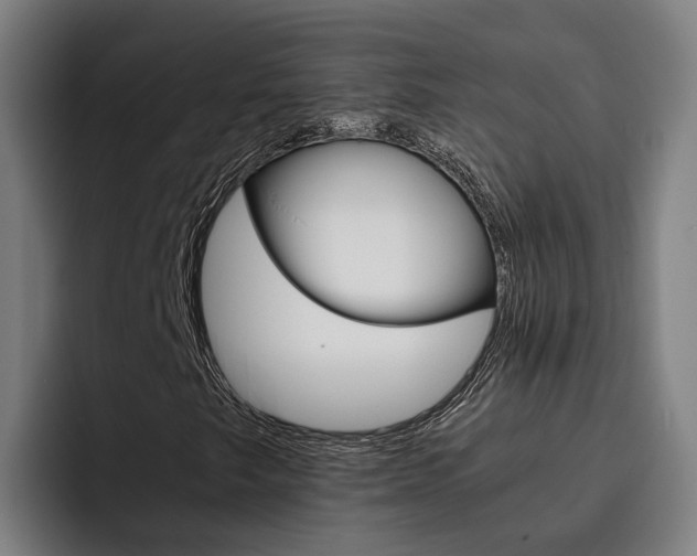 X0000093491249200710121006