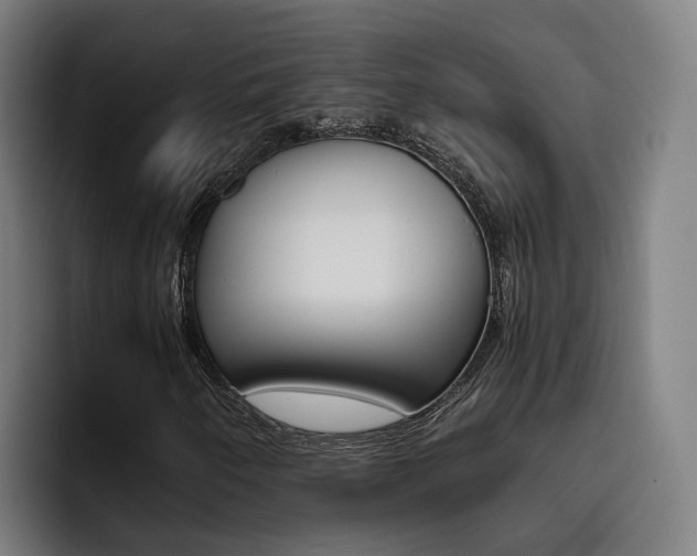 X0000093491250200710121006