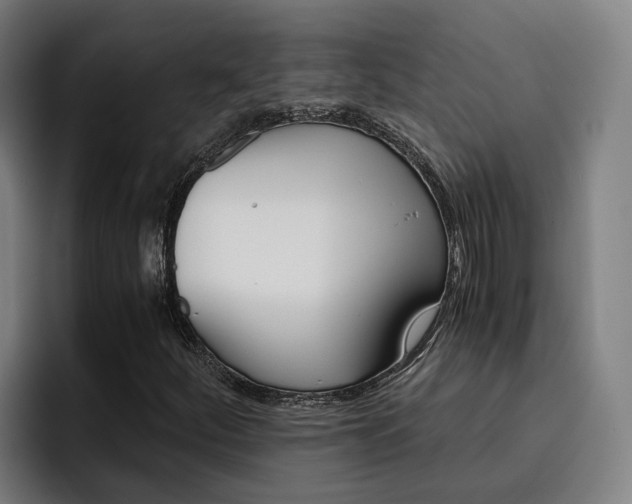 X0000093491252200710121006