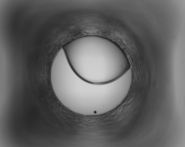 X0000093491253200710121006