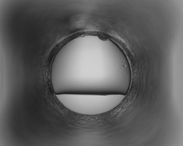 X0000093491255200710121006